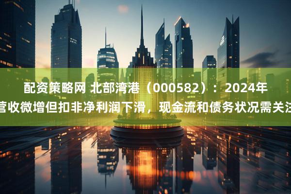 配资策略网 北部湾港（000582）：2024年营收微增但扣非净利润下滑，现金流和债务状况需关注