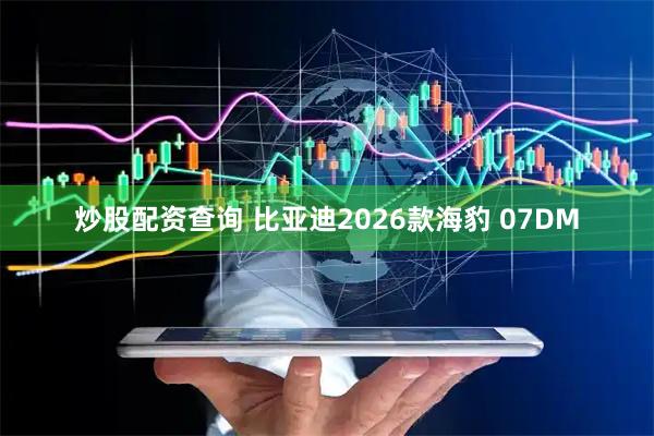 炒股配资查询 比亚迪2026款海豹 07DM