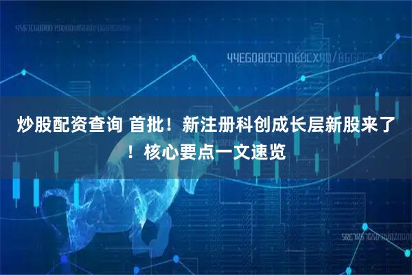 炒股配资查询 首批！新注册科创成长层新股来了！核心要点一文速览
